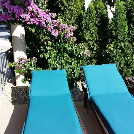 Lizzi Holiday home *