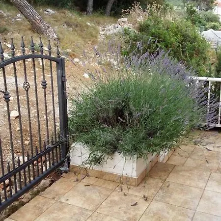 Lizzi * Traù