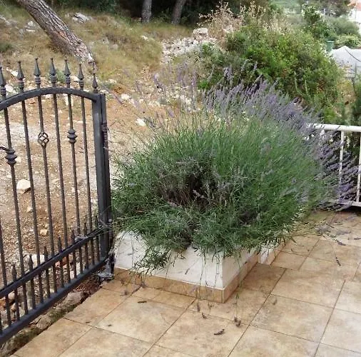 Lizzi * Трогир